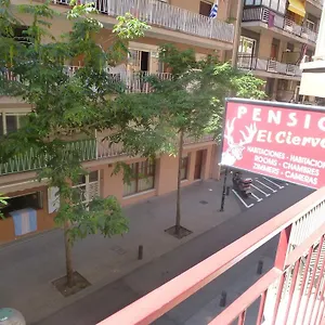 El Ciervo , Lloret de Mar Spanien